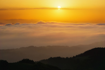fog in the valley at sunset