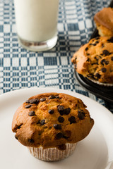 freshly baked chocolate chip muffins