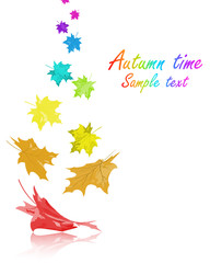 Rainbow Maple Leaves