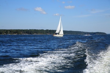 Obraz premium Cruise sailing