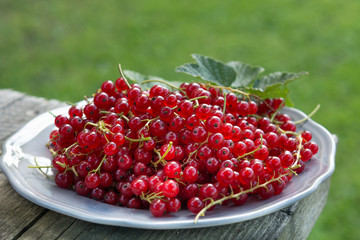 red currant on plate