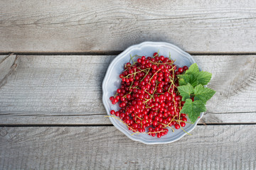 red currant on plate