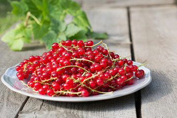 red currant on plate