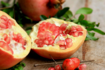 Pomegranate