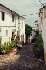 Fototapeta na wymiar Castelo de Vide, Portugal