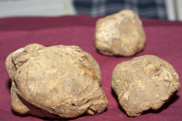 white truffles