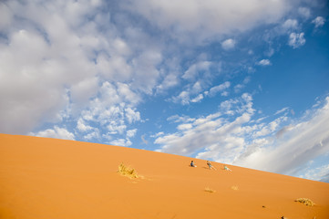 Fototapeta na wymiar Deserto della Namibia, Africa