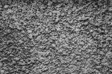 Fototapeta premium Wall texture