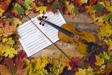 Violin against the backdrop of autumn foliage