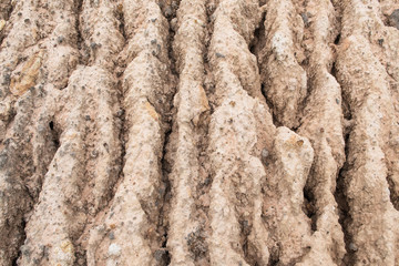 Soil Erosion Pattern and Textured