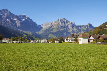 Fototapeta na wymiar Switzerland idyllic pasture - mountains, grass and cows near a village