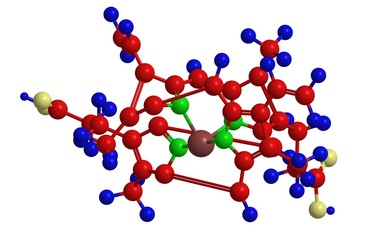 Structure of heme B -  the most abudant heme