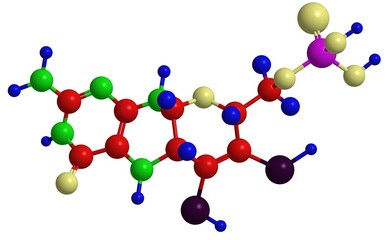 Structure of cofactor molybdopterin