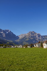 Fototapeta na wymiar Switzerland idyllic pasture - mountains, grass and cows near a village