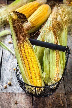 organic sweet corn in basket