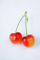 Two cherry fruit on the tail isolated on white