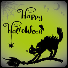 Halloween illustration with black cat