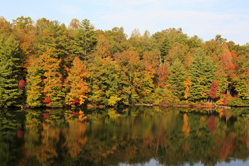 Fall foliage reflected in a lake