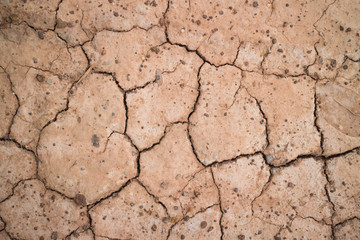 dry ground
