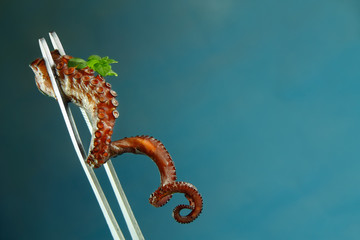 Octopus sushi on a blue background