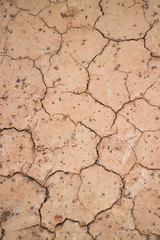 dry ground