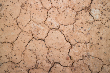 dry ground