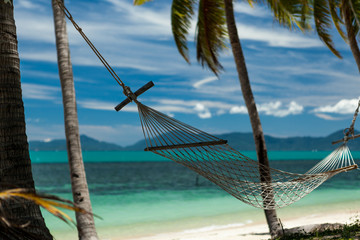 Hammock hung between palm trees on a tropical beach