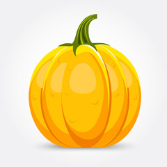 pumpkin isolated on white background