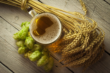 hop cone with beer