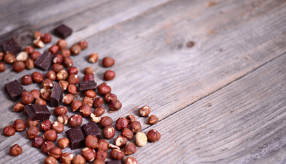 Fresh hazelnut and dark chocolate on wooden background