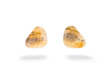 Picture Jasper  from U.S.A.