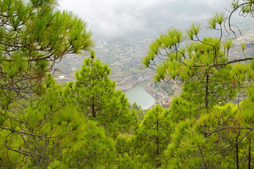 Gran Canaria, Nature Park Tamadaba