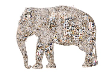 elephant symbol formed from pictures of people. Isolated on the white background