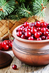 Fresh cranberries in a clay pot in a rustic style, selective foc