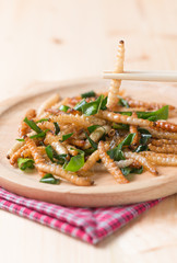 Bamboo Caterpillar fried on chopstick
