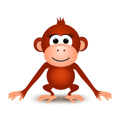 Cartoon cute monkey on a white background