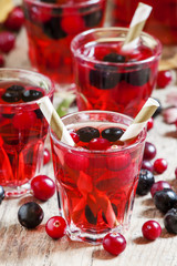 Autumn drink with cranberry and aronia, selective focus
