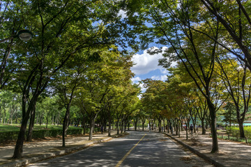 Incheon Grand Park early autumn