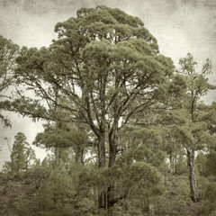 textured old paper background