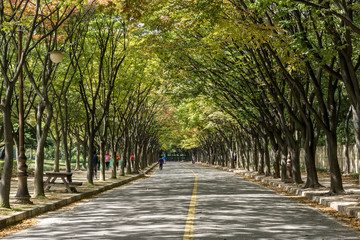 Incheon Grand Park early autumn