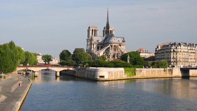 View of Notre Dame de Paris in a summer morning