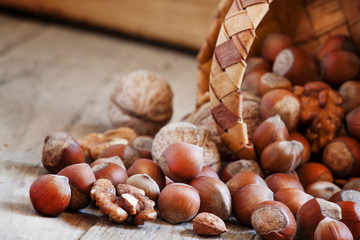 Walnuts and hazelnuts poured woven birch bark baskets, selective