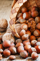 Walnuts and hazelnuts poured woven birch bark baskets, selective