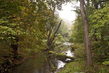 River in a Misty Morning. A river runs through a wilderness area on a misty morning.