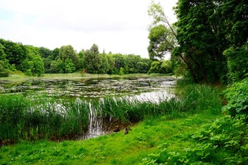 Green lake in Vilnius city near Santariskes