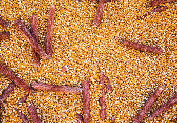 Background formed by corn and corncobs already shelled. © isaac74