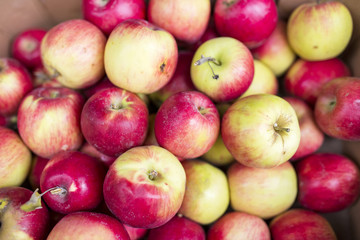 Fototapeta na wymiar Group of red apples