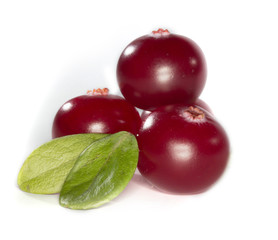 cranberry isolated