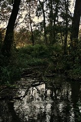 Strumyk © wiktoriazybort