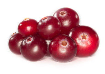 Fototapeta na wymiar cranberry isolated